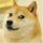 Qin  Yi's avatar